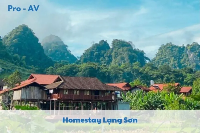 Khám Phá Top 6 Homestay Lạng Sơn 2025: Trải Nghiệm Đặc Sắc Tại Rừng Xanh, Đồng Lâm, và Hữu Liên