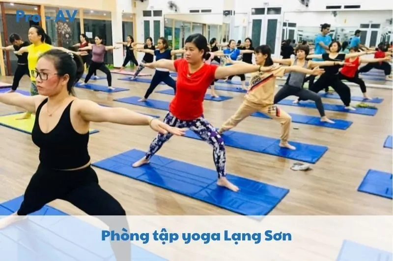 Khám phá 7 phòng tập yoga Lạng Sơn 2025 uy tín, chuyên nghiệp