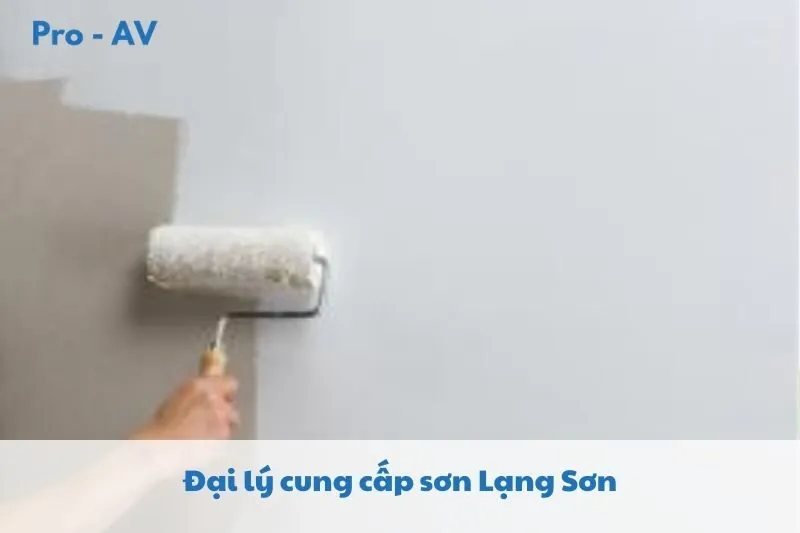 Top 3 Đại lý cung cấp sơn Lạng Sơn 2025: Nội Thất - Gạch ốp lát Duyên Sinh, Sơn Bẩy Thủy, Thanh Long